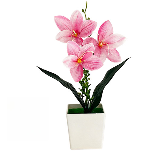White light pink dark - dark,