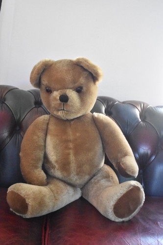 Vintage 1950s pedigree - vintage, mohair