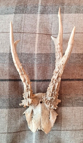 Pair set exmoor - /,