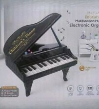 Black Mini Grand Piano 24 Key