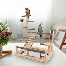 NEW Parrot Perch Playstand Wood Bird Playground for Lovebirds Budgie Cockatiels