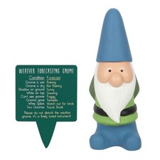 Large weather forecasting gnome - fun garden amusing gift. Approx 30cm (12 inch)