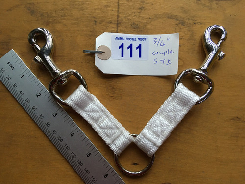 Show lead bit - show, stallion