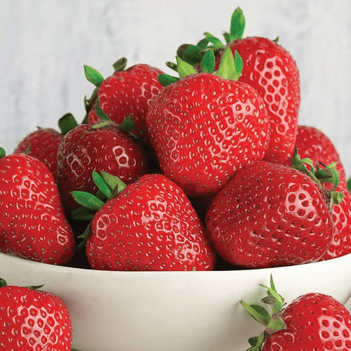 Strawberry elsanta bare - strawberry,