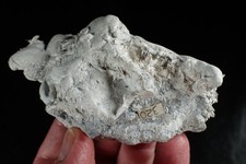 PALYGORSKITE WITH DOLOMITE CRYSTALS !!! Sunk, AUSTRIA