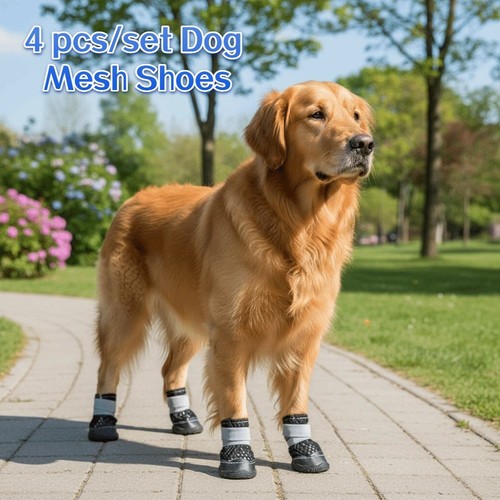 4pcs set dog mesh shoes - dog,