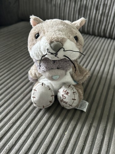 Tatty teddy dressed - teddy,