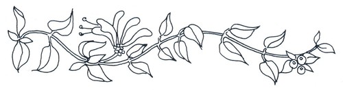 Embroidery transfer iron - embroidery, on