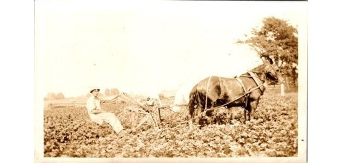 1910s horse drawn plow - drawn,