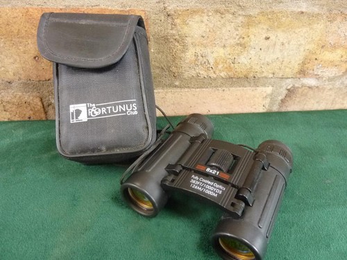 Nice compact binoculars 8x21 - compact,