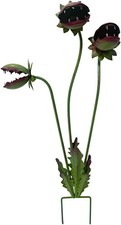 Metal Carnivorous Plant Garden