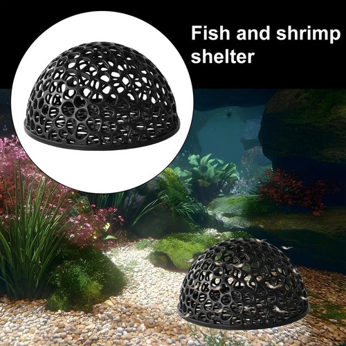 Shrimp breeding cave fish - cave,