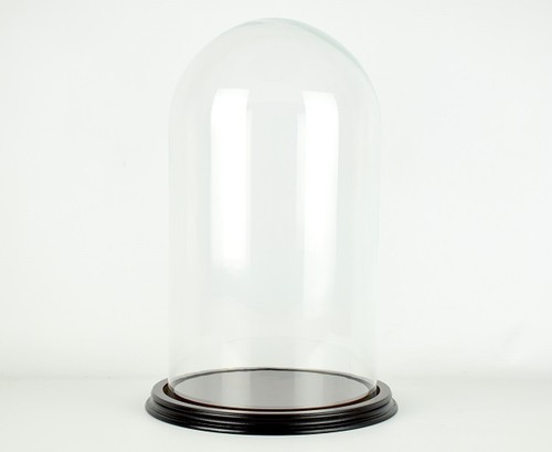 Dome vintage glass display - dome,