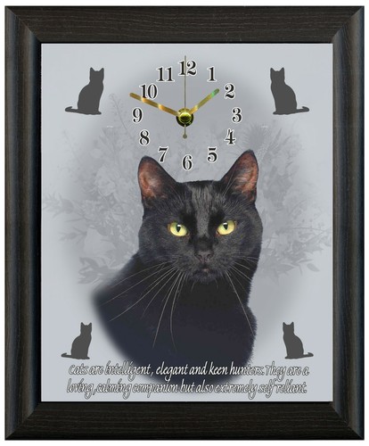 Black cat gift christmas