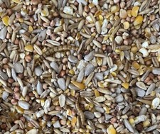 20kg ROBIN SONGBIRD WILD BIRD FOOD FEED SEED MIX WITH MEALWORMS ALL SEASONS