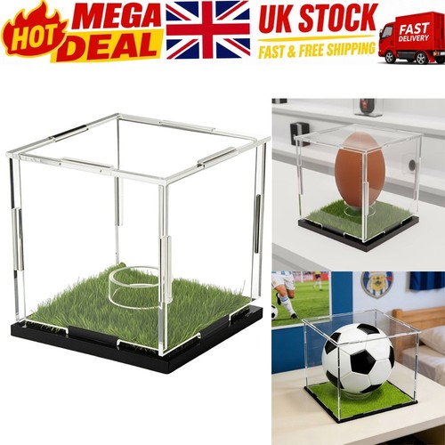 Display case with turf - display,
