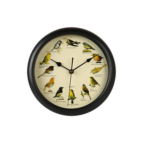 Singing bird wall - bird,