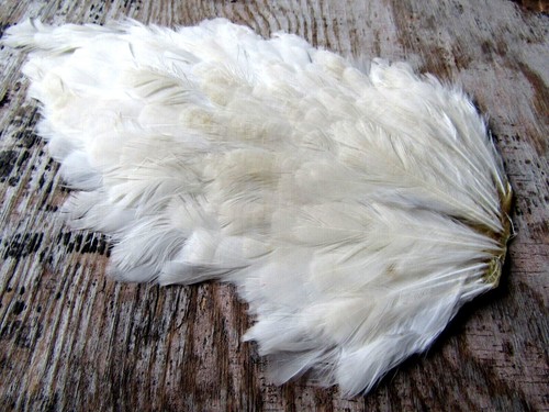 Ifs domestic white hen saddle - ifs,