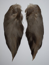 Select Complete set of Bronze