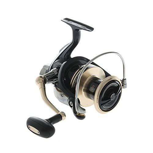 Daiwa surf casting reel - surf,