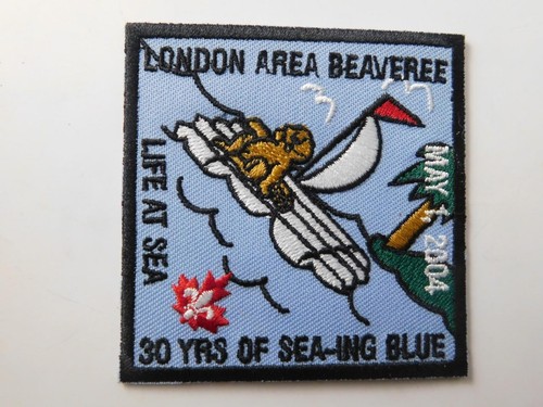 Boy scouts beavers vintage - scouts,