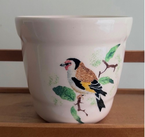 Studio pottery goldfinch - studio,