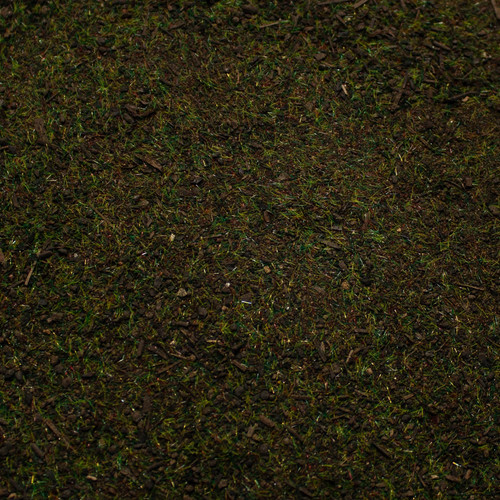 Base ready pine forest - base, ground