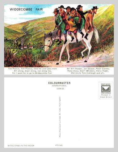 Vintage postcard widecombe - vintage,