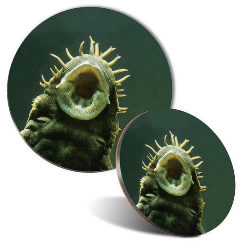 Mouse mat coaster set - mat,