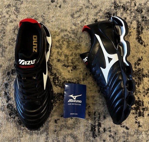 Mizuno wave prophecy morelia - mizuno,