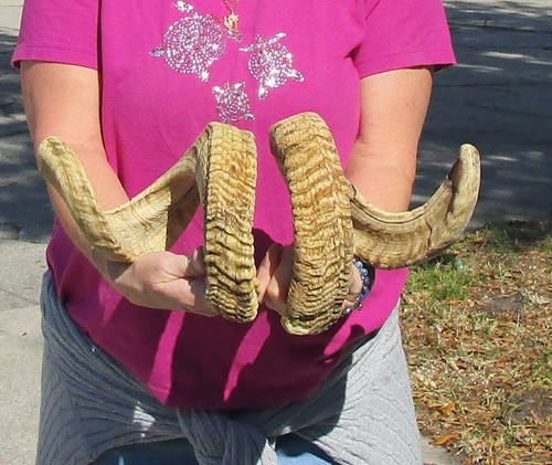 Matching pair inch - 27,