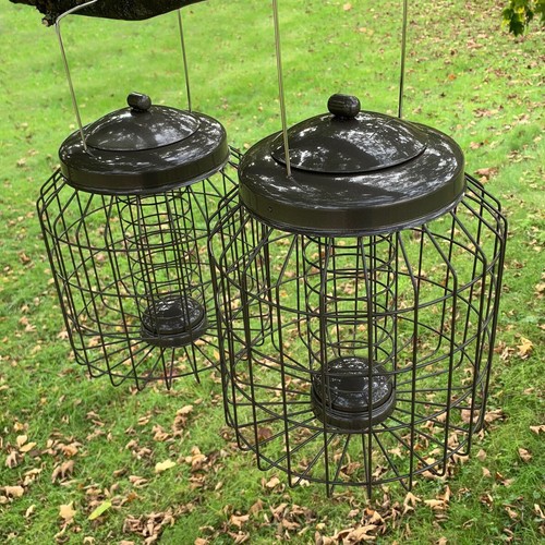 Squirrel proof hanging bird - hanging,