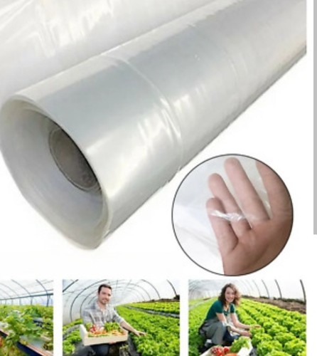 Clear polythene roll - polythene,