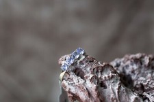 AA Tanzanite 9k White Gold