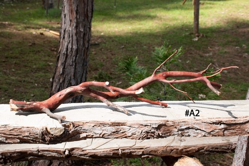 Natural manzanita trunk - natural,