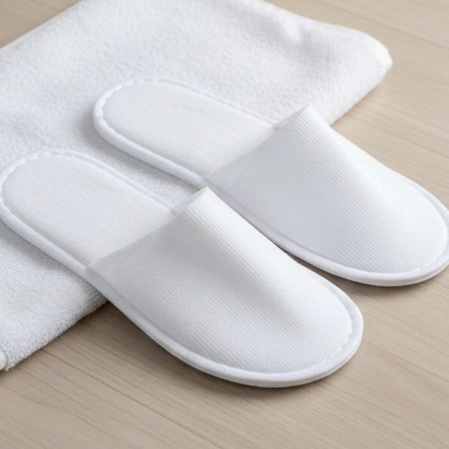 Pairs spa hotel - hotel, guest