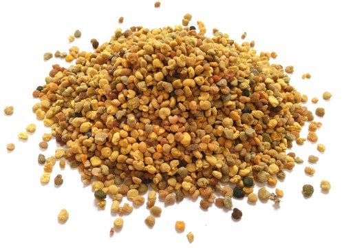 Bee pollen granules - pollen, (immune