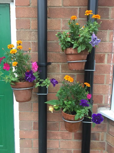 Single drainpipe planter pot - /,