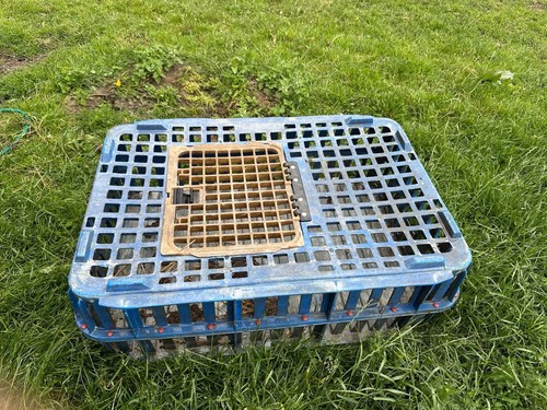 Large poultry crate - large,