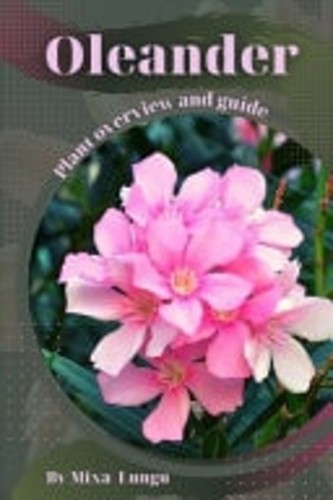 Oleander plant overview - plant, and