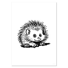 'African Pygmy Hedgehog' Wall