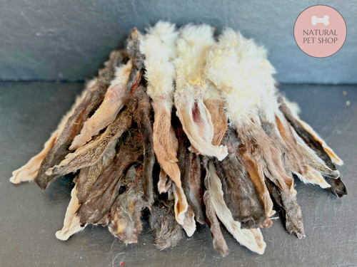 Furry rabbit ears - furry,