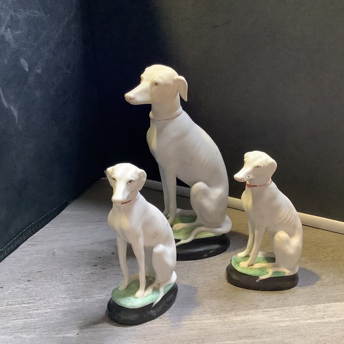 Family whippet dogs - family, of