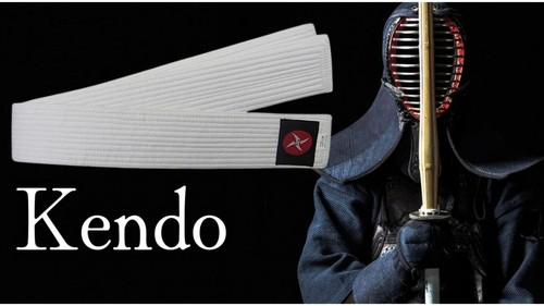 Japanese iaido obi belt - iaido, wide