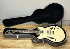 Acoustic Guitar Ibanez