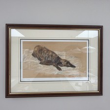 Rare Dog print picture