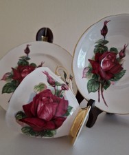 Paragon Fine Bone China Trio “Mary Heathcliff” Six World Famous Roses – TRIO"