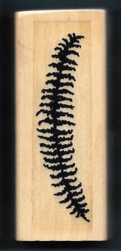 Fern frond leaf - fern, home