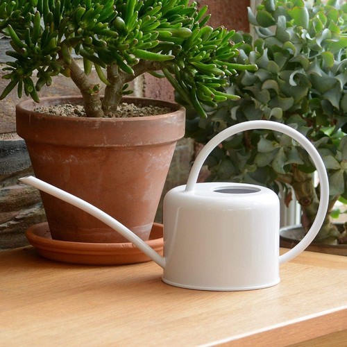 Indoor watering can - watering,