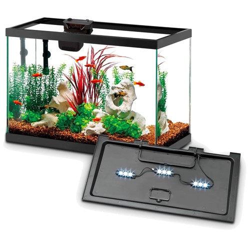 Gallon aquarium starter - aquarium, kit